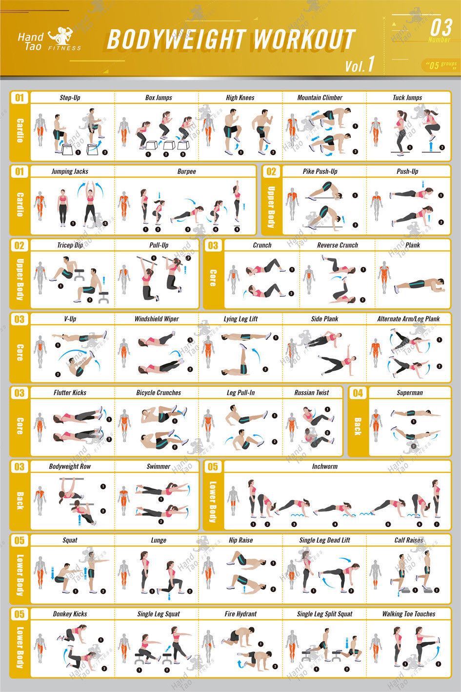 Home Gym Guide - 체중 운동 운동 바디빌딩 가이드 피트니스