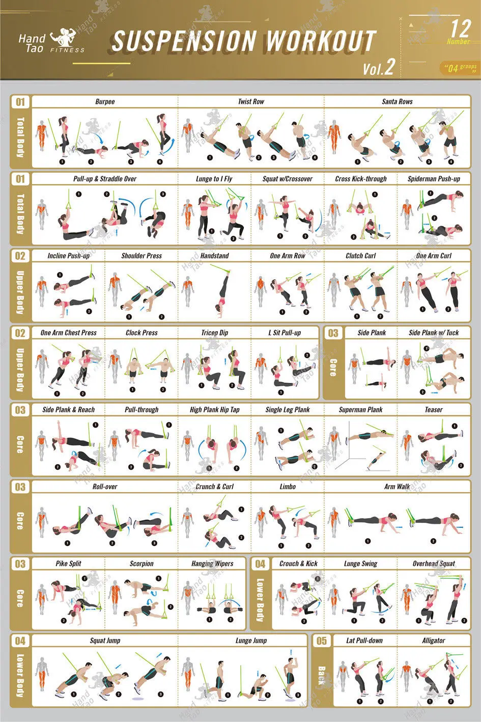 X007 홈 데코 서스펜션 운동 보디빌딩 가이드 피트니 - Home Gym Guide 리뷰 및 가격