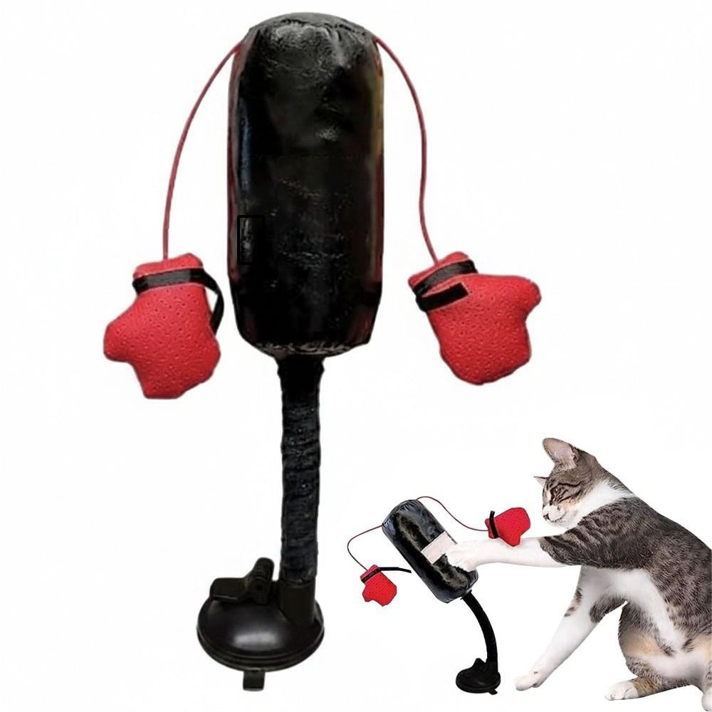 흡착식 받침대 고양이 복싱 장난감 자립형 스프링 장착  - Boxing Bag Stand 리뷰 및 가격