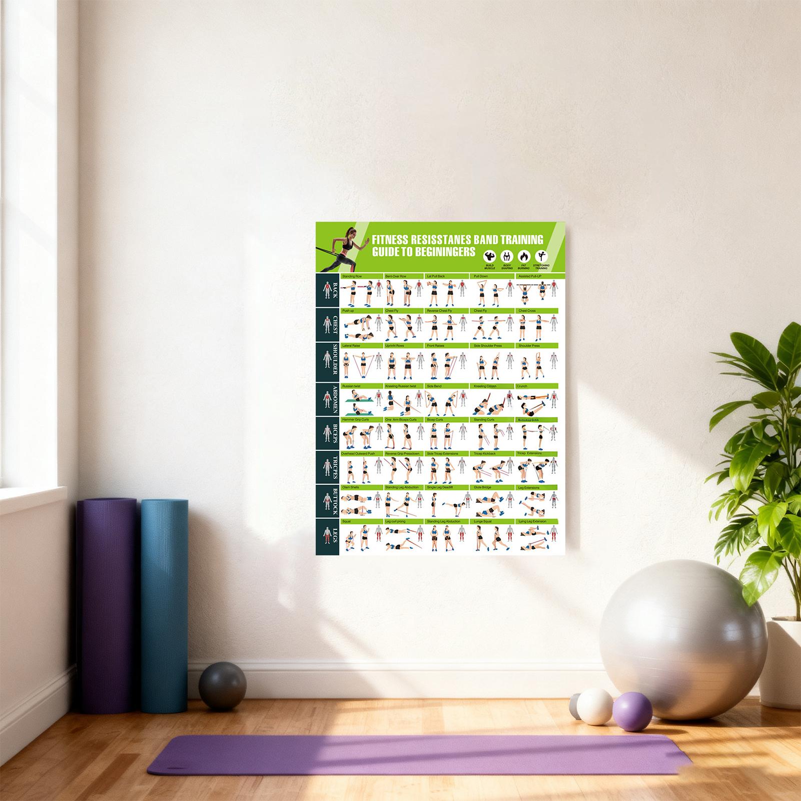 저항 밴드가 포함된 운동 포스터, 홈짐 근육 강화, 스 - Home Gym Guide 리뷰 및 가격