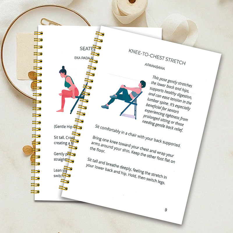 30일 의자 요가 체중 감량 일기, 저강도 운동 가이드 - Home Gym Guide 리뷰 및 가격