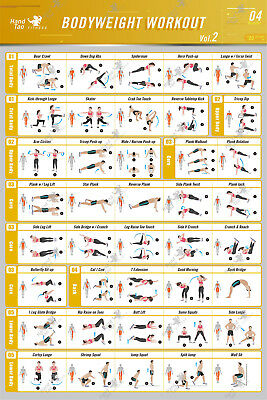체중 운동 운동 바디빌딩 가이드 피트니스 체육관 차트  - Home Gym Guide 리뷰 및 가격