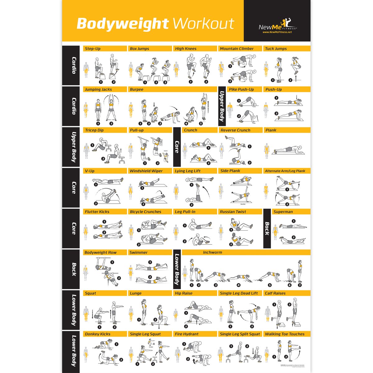 체중 운동 운동 바디빌딩 가이드 피트니스 체육관 차트  - Home Gym Guide 리뷰 및 가격