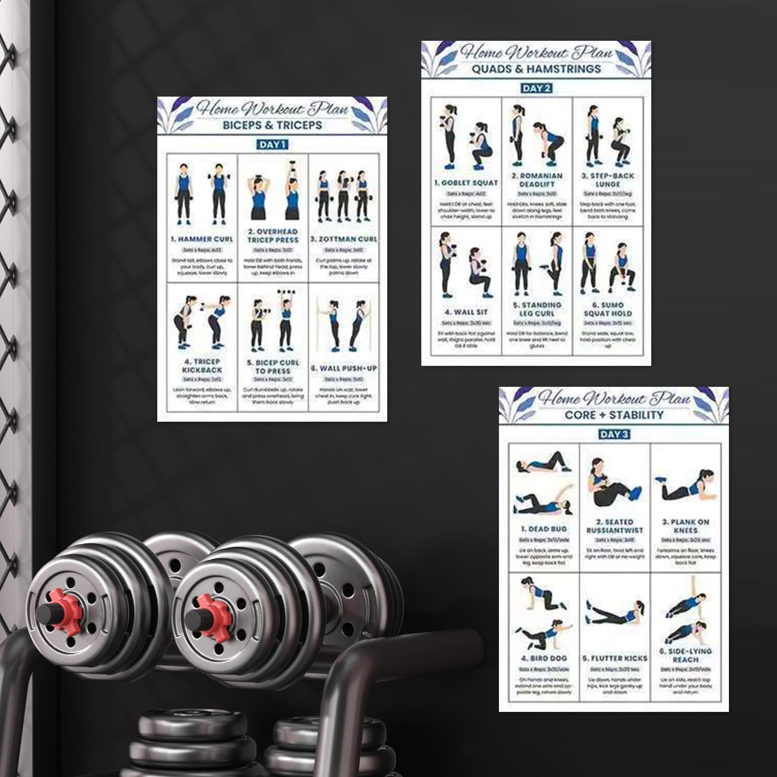 6개 요가 덤벨 스트레칭 운동 포스터 기숙사 사무실 홈 - Home Gym Guide 리뷰 및 가격